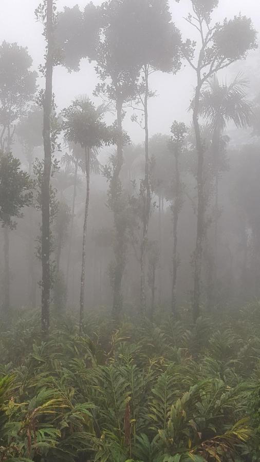 Tree Blanche Hotel Munnar Exterior photo