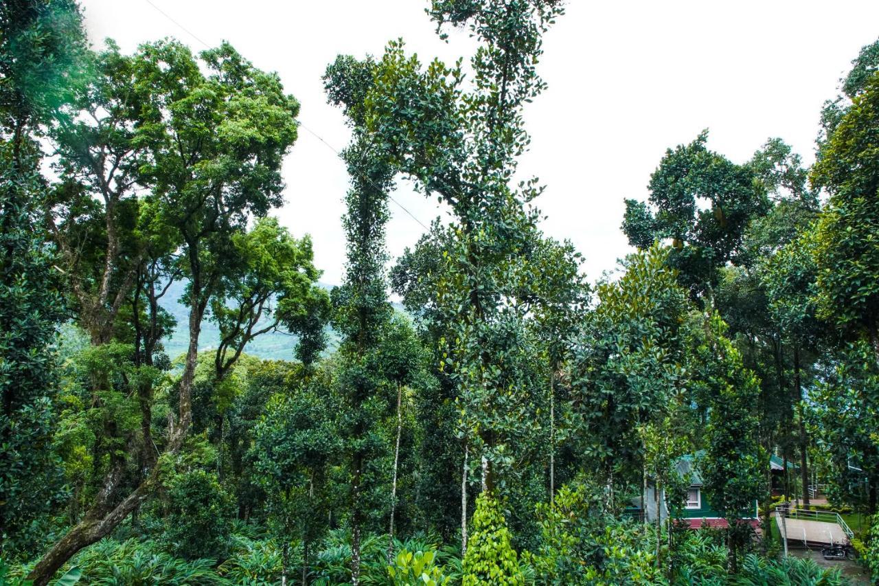Tree Blanche Hotel Munnar Exterior photo