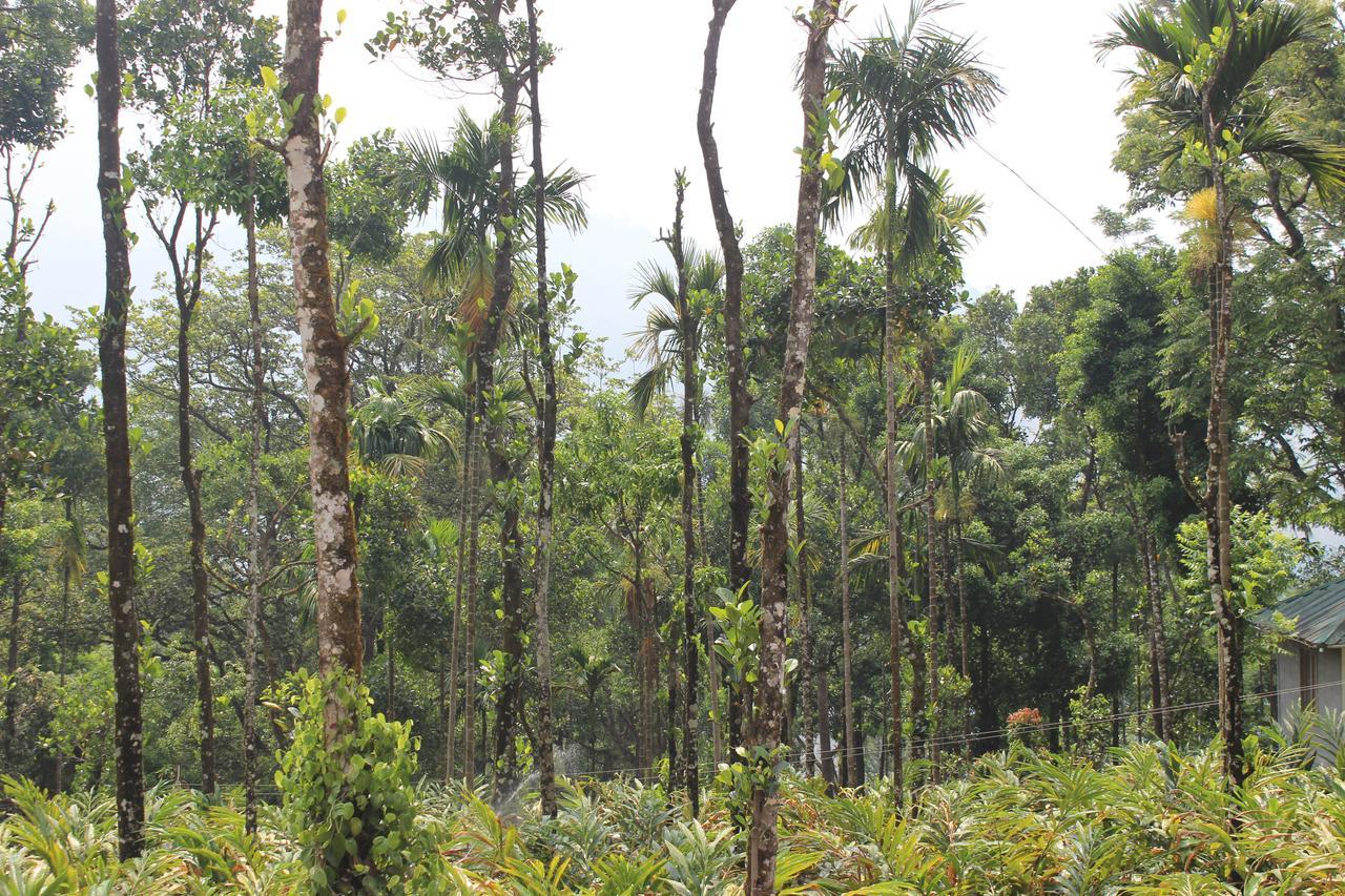Tree Blanche Hotel Munnar Exterior photo